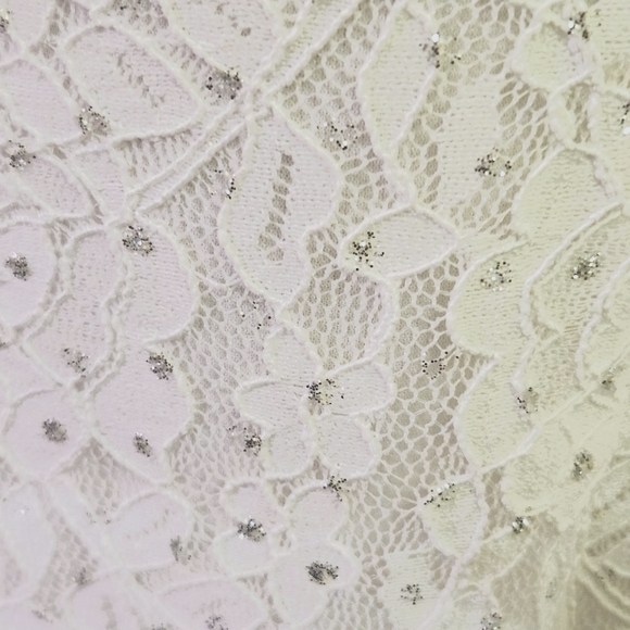 Windsor Cameron Formal White w/Silver Glitter & Lace Mini Dress,Size 9, NWT - Picture 11 of 16